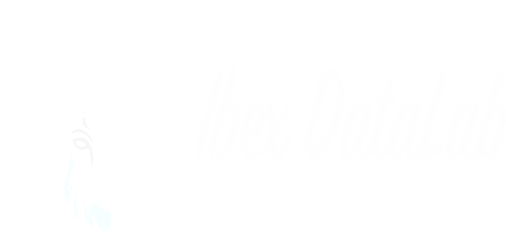 Ibex Data Lab Logo